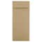 JAM Paper #10 Brown Kraft Paper Bag Policy Business Premium Envelopes